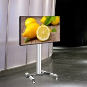 Ultra high brightness commercial display monitors with trolley