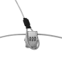 Double loop cable lock for display tethering