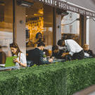 Faux boxwood hedge used outside a restaurant