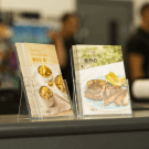 Portrait countertop leaflet holder for holding promotional material