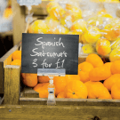 Plastic Ticket Holder Clip ideal for use in food retail store displays