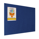 Frameless Fire Resistant Notice Board
