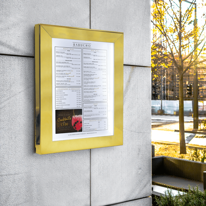 Outdoor menu display case with LED lighting
