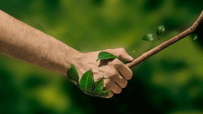 What Is Green Retailing? What Is Green Retailing?