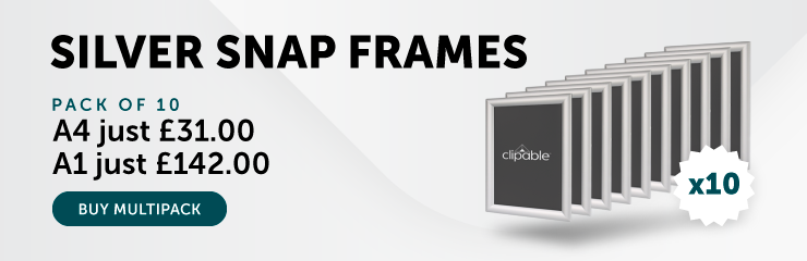 silver-snap-frame-pack-of-10