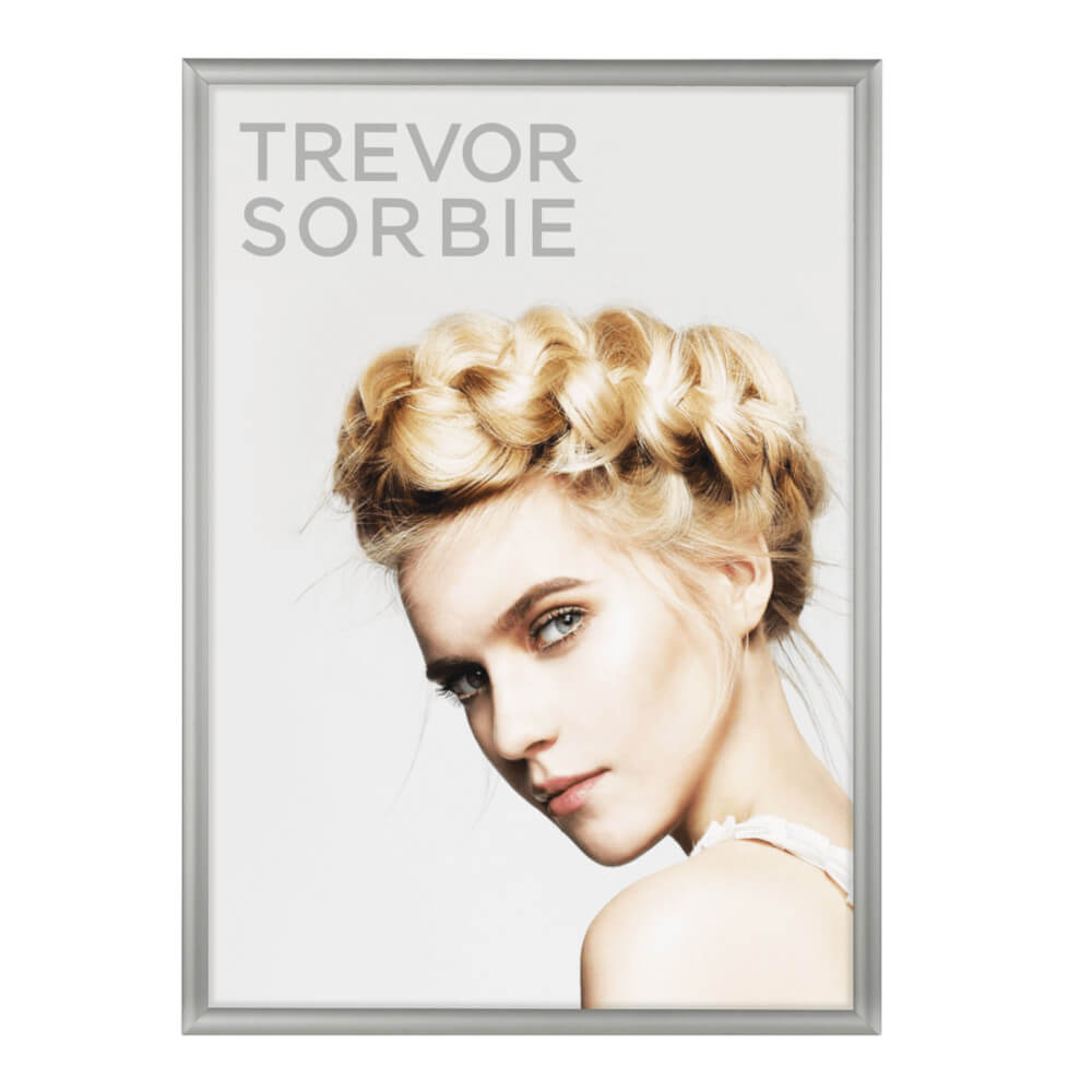 Premium LED Poster Frame