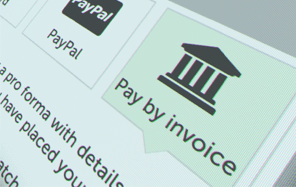 Select 'Pay by Invoice' option