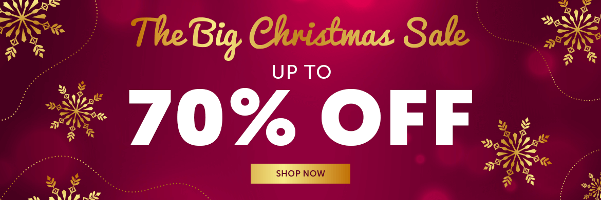 big christmas sale