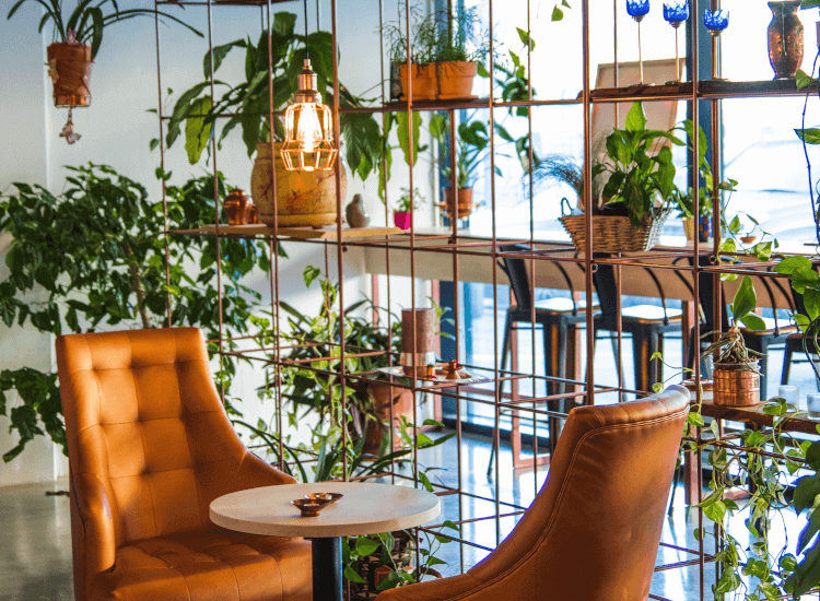 Wire shelving unit with houseplants and armchairs, creating a relaxed shopping atmosphere