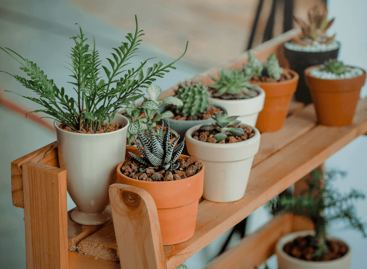 Stylish wooden shelving display